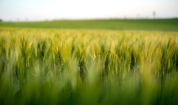 Ušetřete na Jídle Při Cestování Evropou: Efektivní Tipy