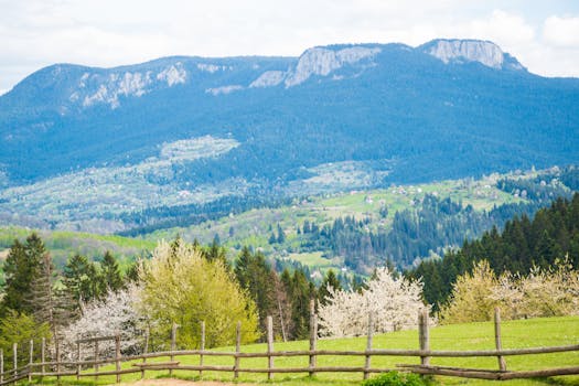 Cestování do Bosnia and Herzegovina – kompletní průvodce