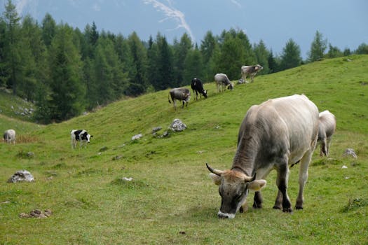 Cestování do Italian Republic – kompletní průvodce