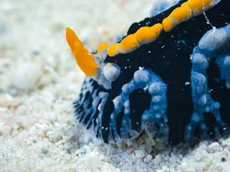 Cestování do Republic of Mauritius – kompletní průvodce