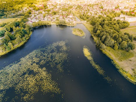 Litva: Překvapivá Oáza Historie, Přírody a Kultury v Srdci Evropy